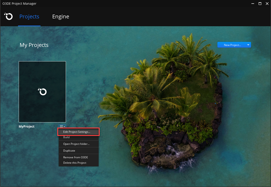 For a project, go to the menu and select &lsquo;Edit Project Settings&rsquo;.